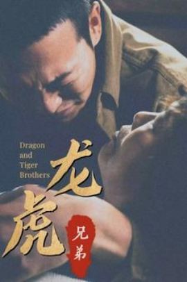 龙虎兄弟国语