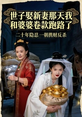 世子娶新妻那天我和婆婆卷款跑路了