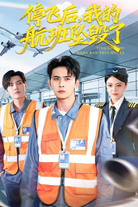 停飞后，我的航班坠毁了