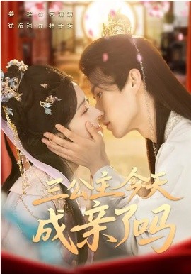 三公主今天成亲了吗